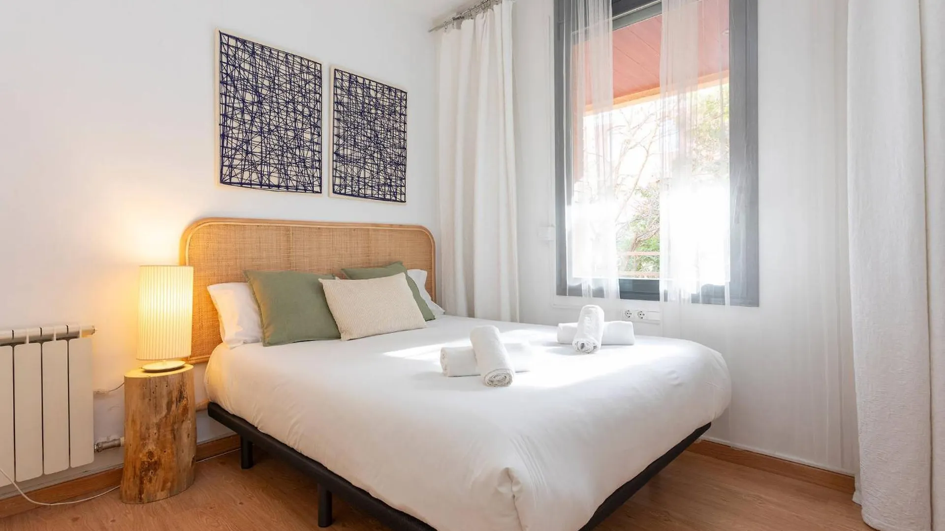 11Jog1036 - Huge & Bright Apartment Train Station Barcelona Spain